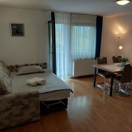 Apartmaji Vesna Bohinj Εξωτερικό φωτογραφία