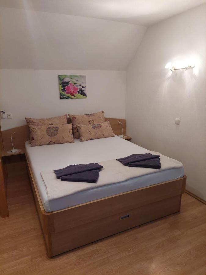 Apartmaji Vesna Bohinj Εξωτερικό φωτογραφία