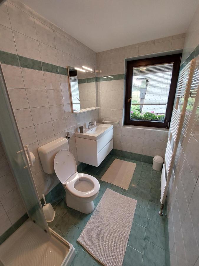 Apartmaji Vesna Bohinj Εξωτερικό φωτογραφία