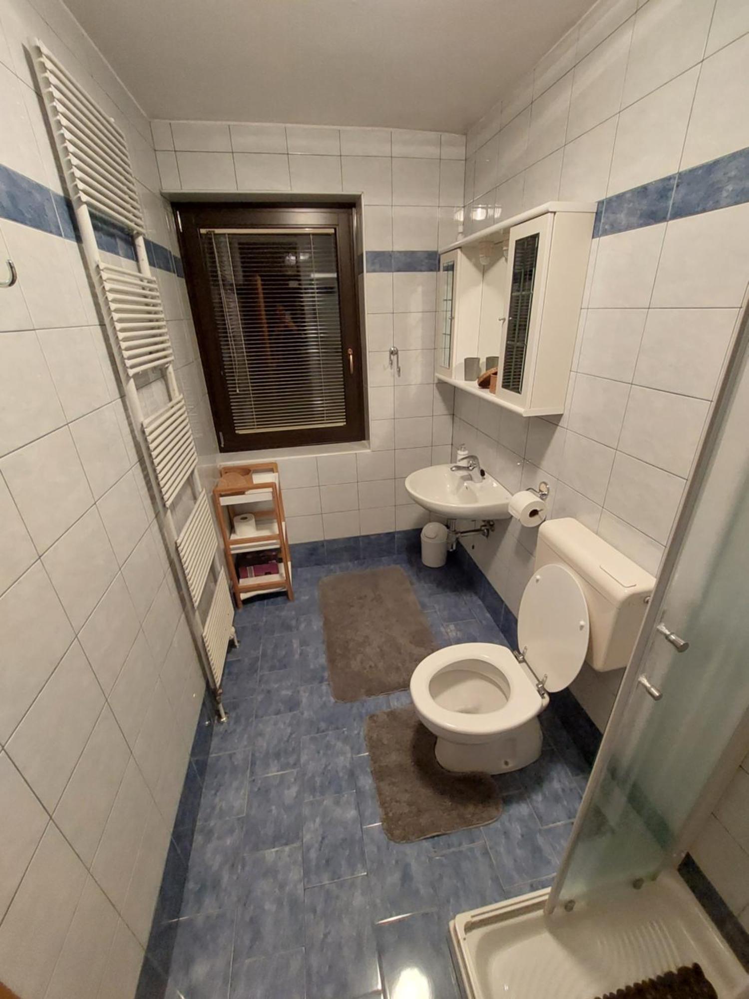 Apartmaji Vesna Bohinj Δωμάτιο φωτογραφία