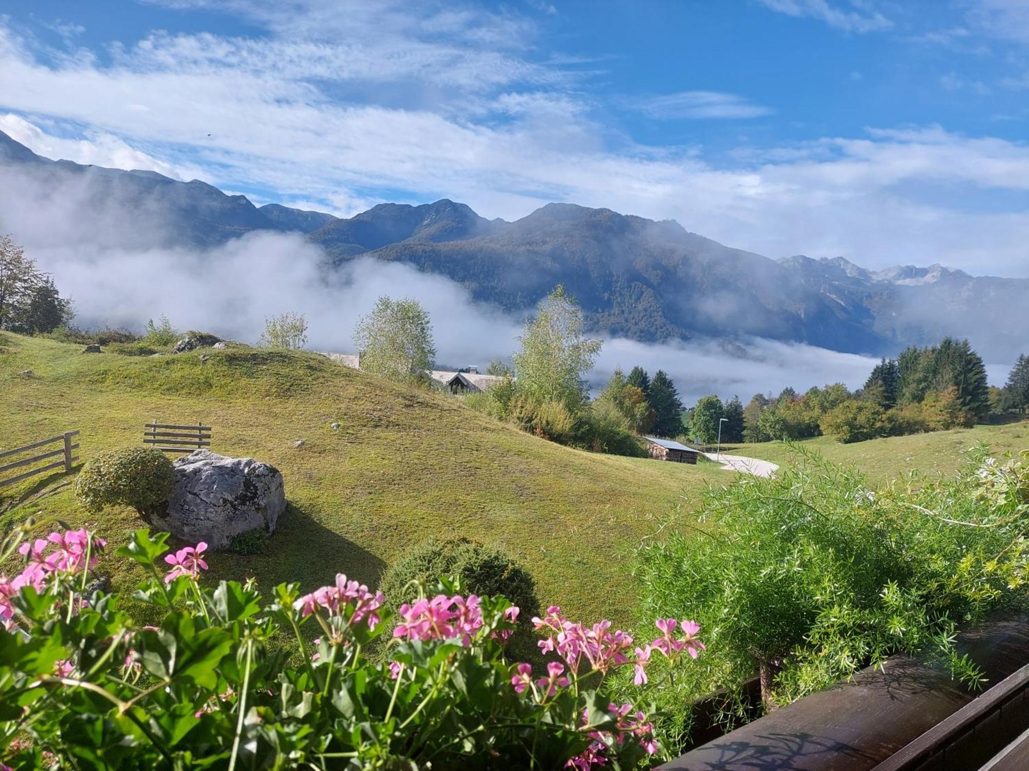 Apartmaji Vesna Bohinj Εξωτερικό φωτογραφία