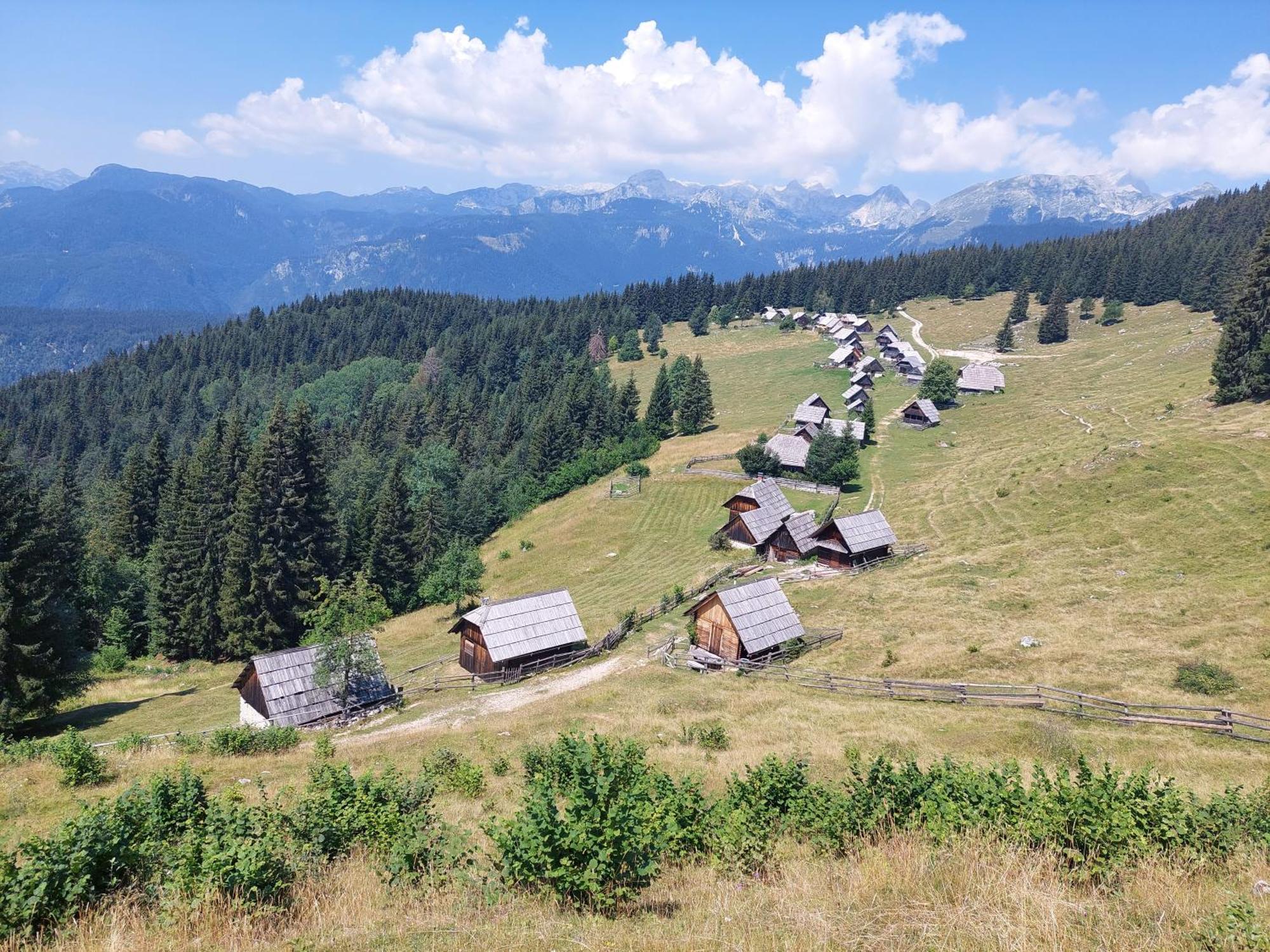 Apartmaji Vesna Bohinj Εξωτερικό φωτογραφία
